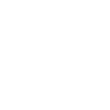 favicon vroom wit
